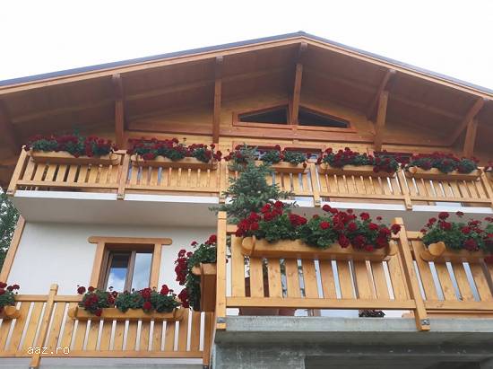 Vand casa de lux Poiana Campina