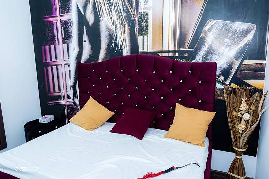 Modele LiveVision Studio,   bonus angajare
