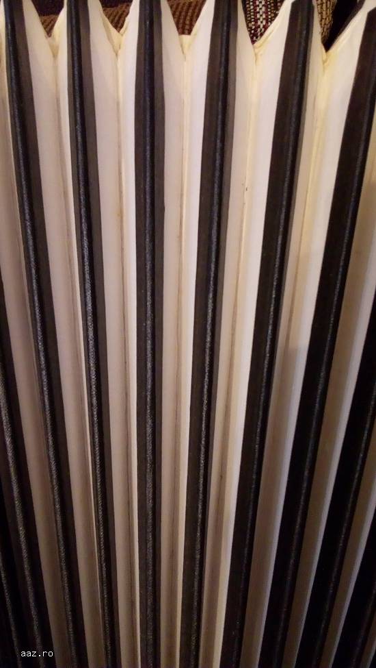 Acordeon