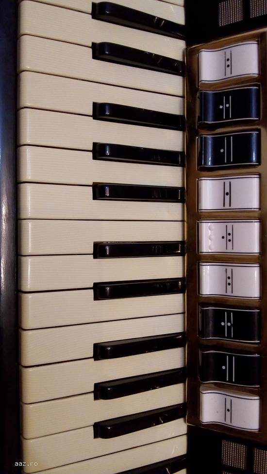 Acordeon