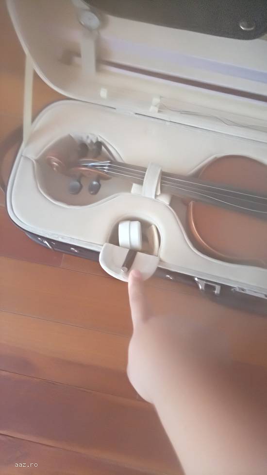 Vioară vechie peste 120 ani inca functionabila