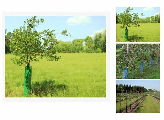 GARDENING / AGRICULTURE NETS