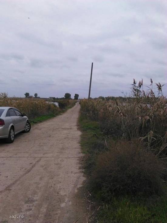 Baltă pescuit 60 ha