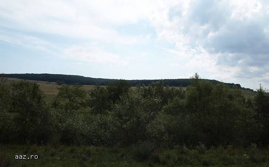 Teren 140.001 mp in Zalau,   Valea Mitii
