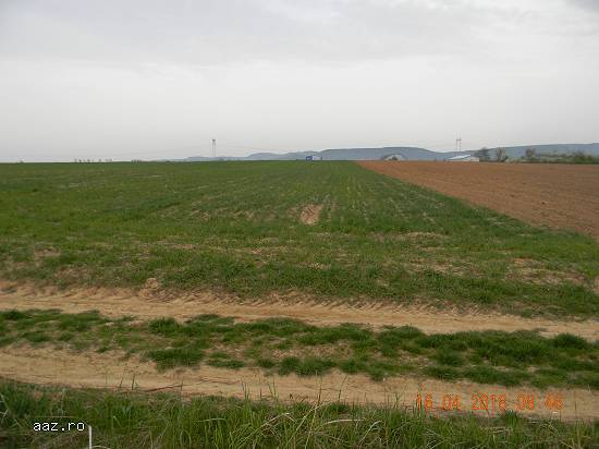 Teren de vanzare,   Urleta-Prahova,   prin agentia Matos Imobiliare