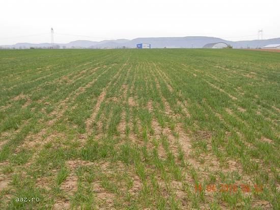 Teren de vanzare,   Urleta-Prahova,   prin agentia Matos Imobiliare