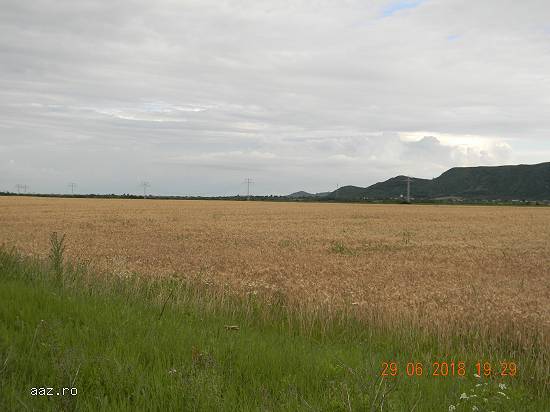 Teren de vanzare,   Banesti-Prahova,   prin agentia Matos Imobiliare