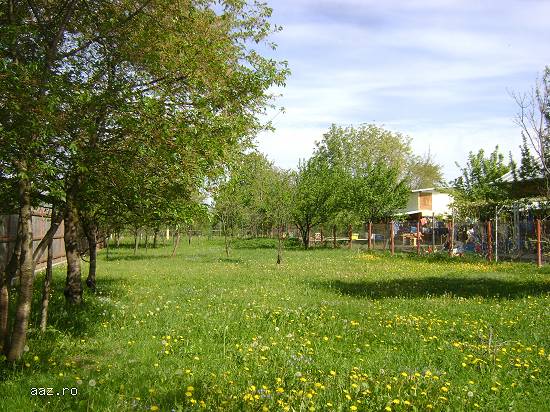 Teren de vanzare,   Banesti-Prahova,   prin agentia Matos  Imobiliare