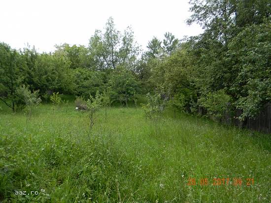 Teren de vanzare,   Breaza-Prahova,   prin agentia Matos Imobiliare..