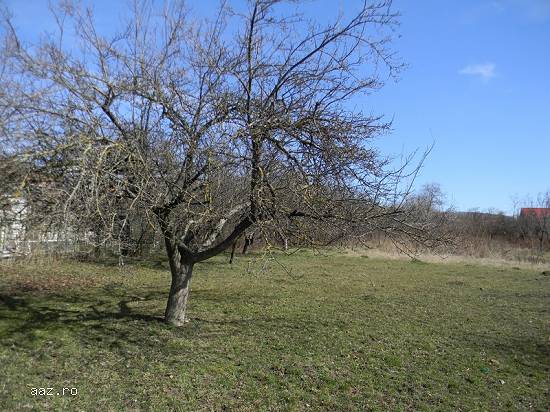 Teren de vanzare,   Brebu-Prahova,   prin agentia Matos Imobiliare..