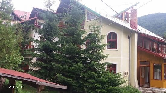 Vila Sinaia 10 camere