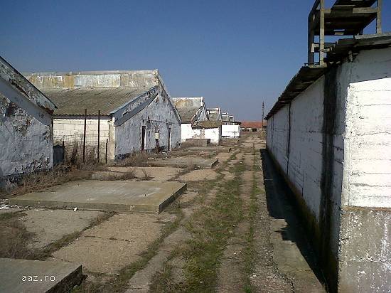 Vand proprietate imobiliara,   jud. Bihor