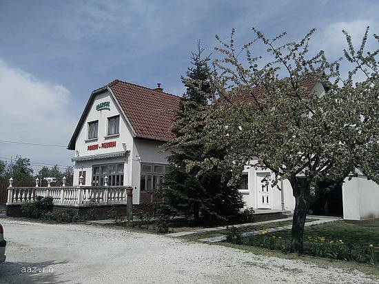 Pension or large family house