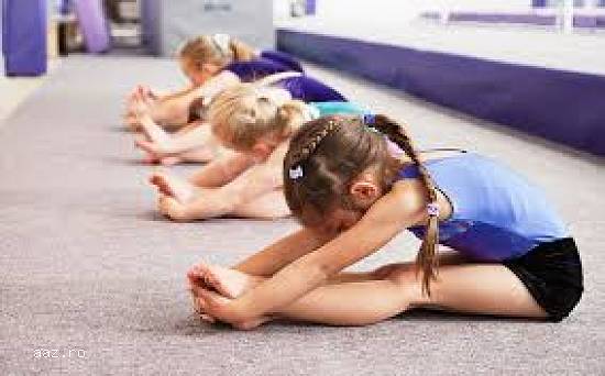 Instructor gimnastica