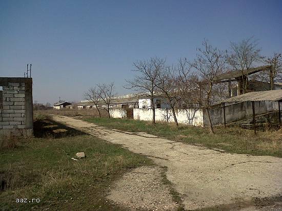 Lichidator judiciar,   vand proprietate imobiliara,   Ghiorac