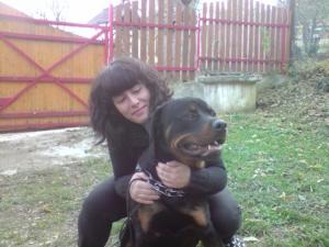 ORADEA dresaj canin,   pensiune canina