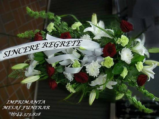 Sistem printare panglica funerara.Imprimanta portabila