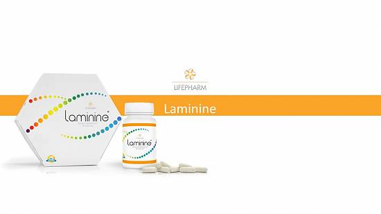 Laminine - reactiveaza celulele stem din organism