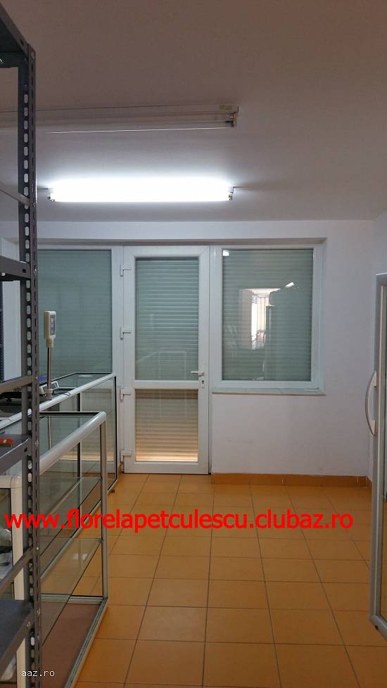 Stefan cel Mare ( adiacent ) - Inchiriere spatiu comercial