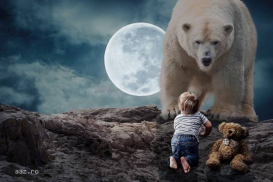 Curs Photoshop Creativ