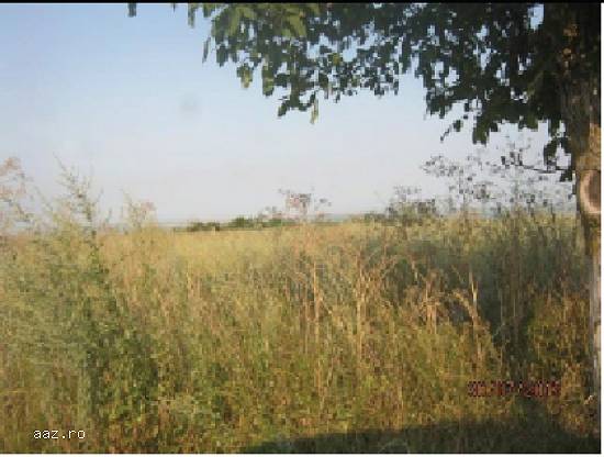 Teren 14404 mp (3 loturi ),   T35,   Braila