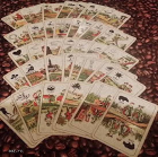 GHICESC IN CARTI NORMALE ,    DE TAROT ,    SI CAFEA