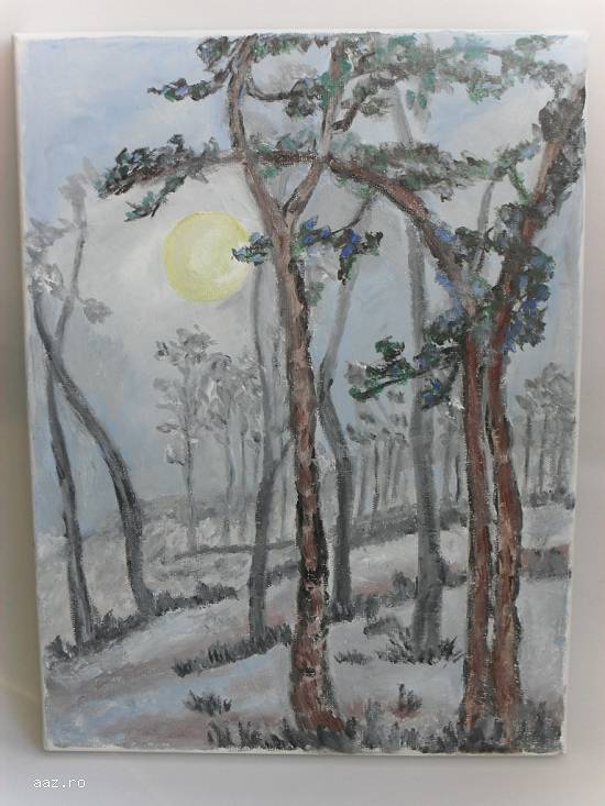 Pictura 30cm/40cm ulei pe panza;Macedon Luiza