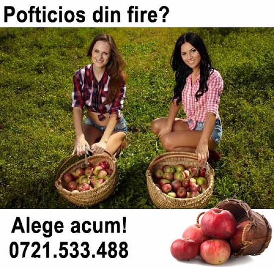 Vând mere Râu-Alb de Sus Dâmbovița