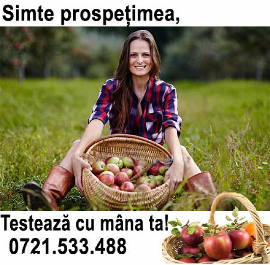 Vând mere Râu-Alb de Sus Dâmbovița