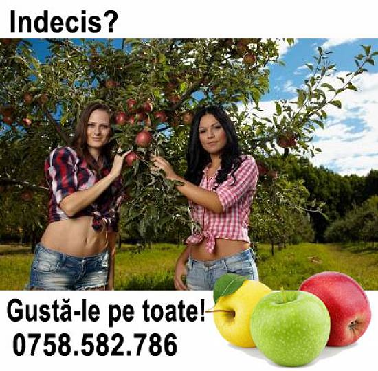 Vând mere Râu-Alb de Sus Dâmbovița