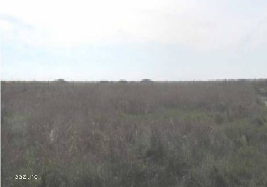 Teren 29970 mp,   Sacalaz,   Timis