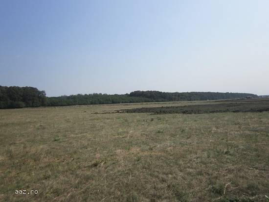 Teren intravilan 1,  283 mp Voluntari,   Ilfov