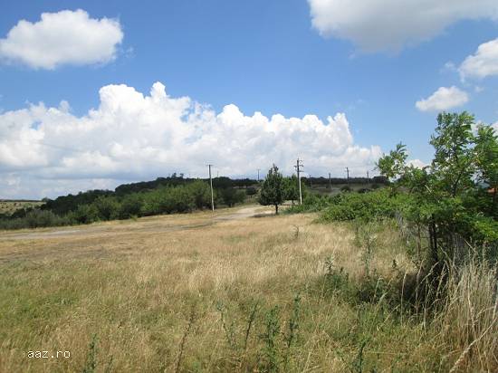 Teren 2834 mp,   Zalau (Pasune Liget ),   Salaj