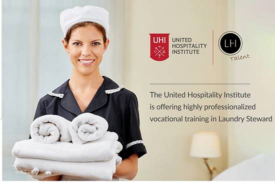 Laundry Stewarding