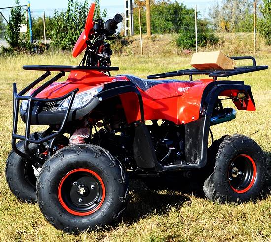 Atv T-rex 125cc Nitro-Motors Germany