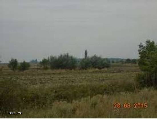 Teren arabil 14.880 mp,   Otopeni,   Ilfov