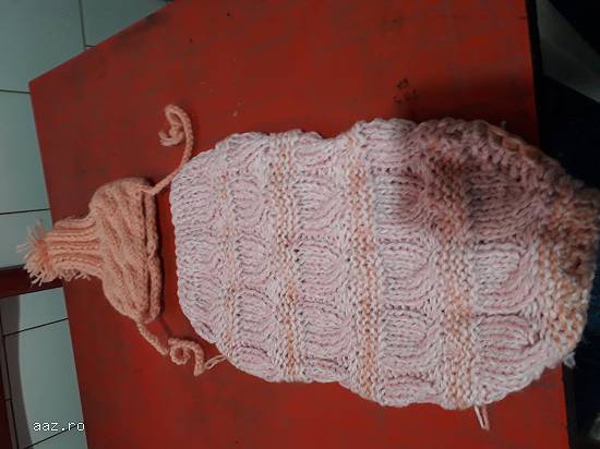 Hainute  catei