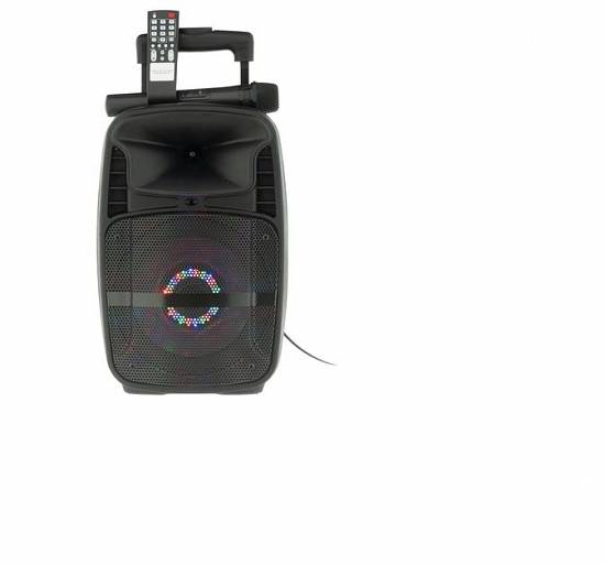Boxa PortabilaTroller W-09,   Radio FM,   Bluetooth.
