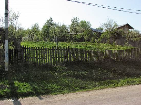 teren in com Bezdead Jud Dambovita
