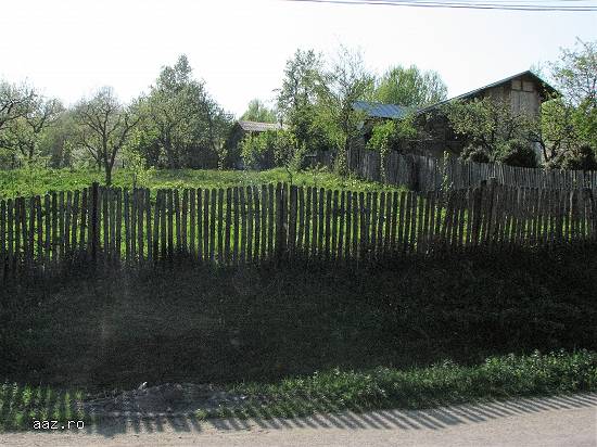 teren in com Bezdead Jud Dambovita