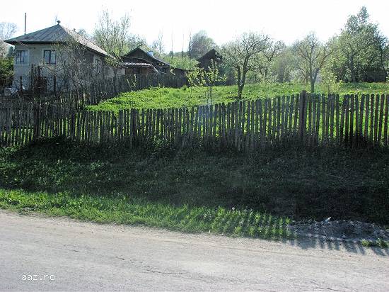 teren in com Bezdead Jud Dambovita