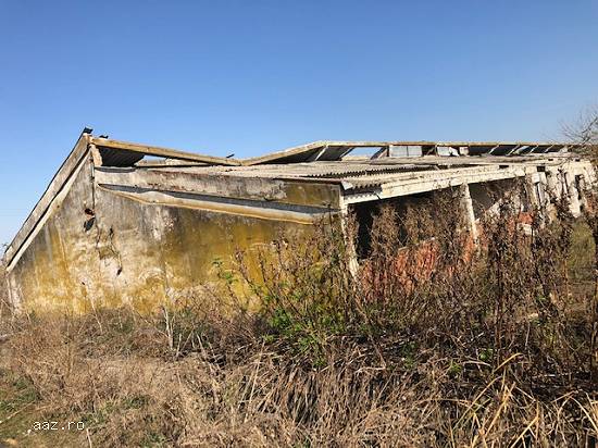 Lichidator judiciar,   vand proprietate imobiliara