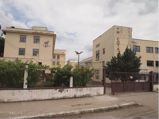 Lichidator judiciar,   vand spatiu industrial,   jud. Arad,   Ineu