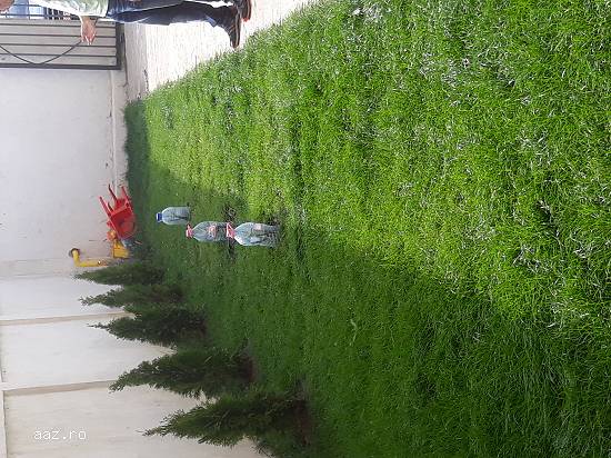 Apartament 2 Camere Militari Metro Curte Foisor
