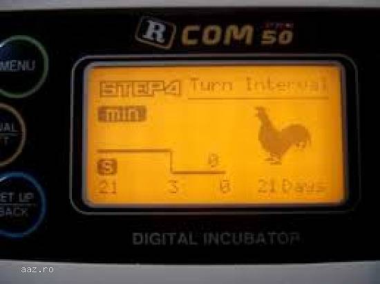 Incubator oasari RCOM Max 20
