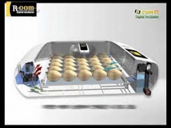 Incubator oasari RCOM Max 20