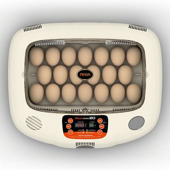 Incubator oasari RCOM Max 20