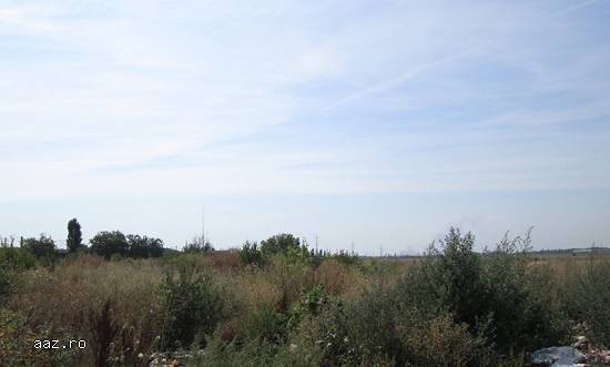 Teren 4.000 mp,   Buftea