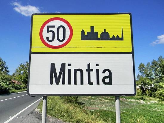 Hala de închiriat Mintia - Hunedoara