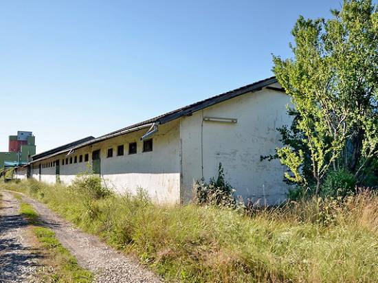 Hala de închiriat Mintia - Hunedoara